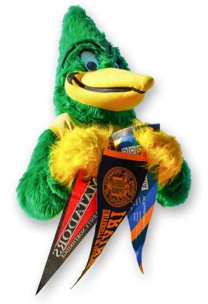 Roadrunner mascot holding university pennants