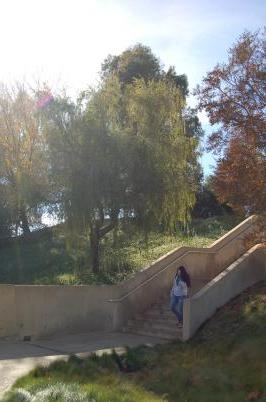 A student on a staircase by some trees.